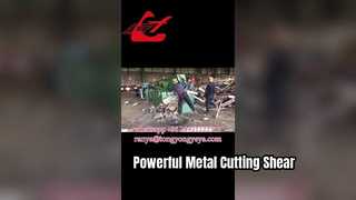 Q43-2500 กรรไกรตัดจระเข้